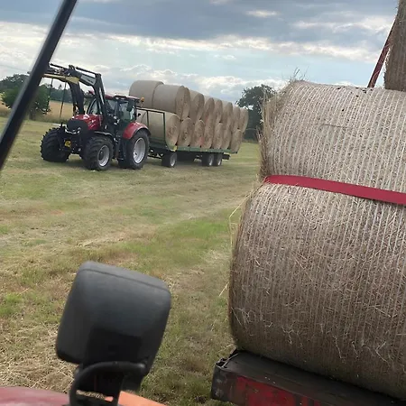 Ruhe Auf Dem Lande 韦斯特施泰德