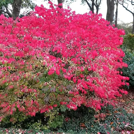 Ruhe Auf Dem Lande 度假居